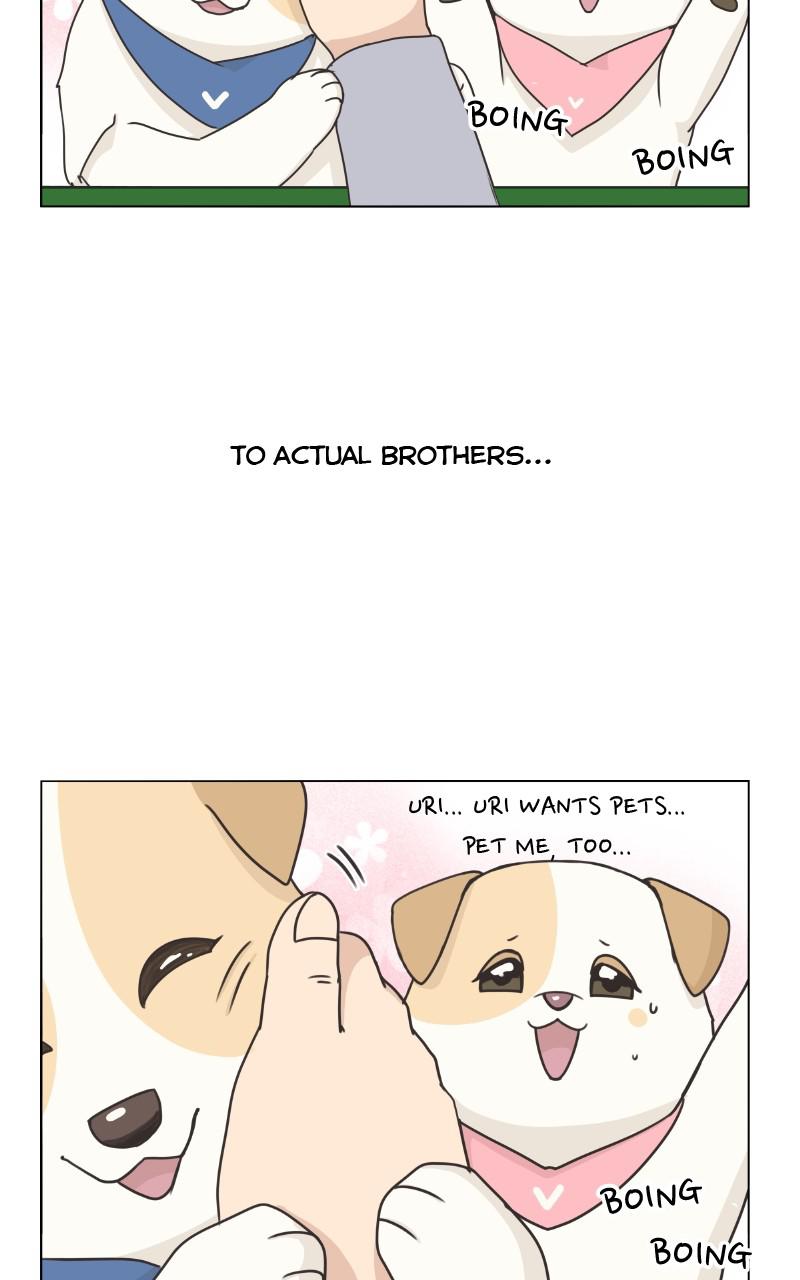 The Dog Diaries Chap 81 - Next Chap 82