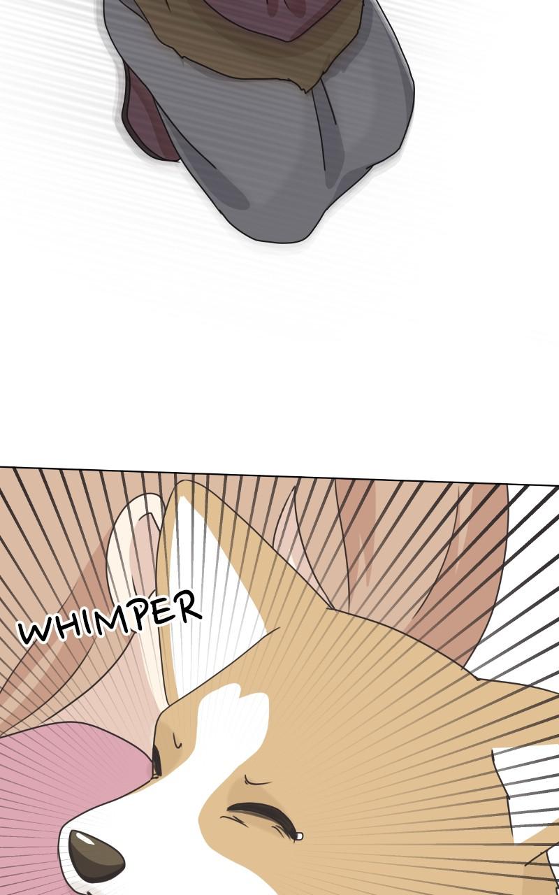 The Dog Diaries Chap 81 - Next Chap 82