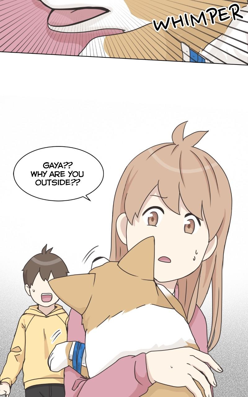 The Dog Diaries Chap 81 - Next Chap 82