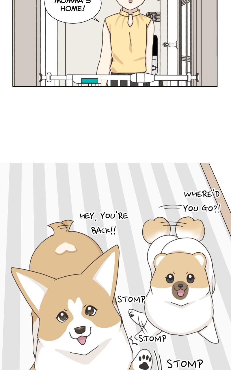 The Dog Diaries Chap 95 - Next Chap 96