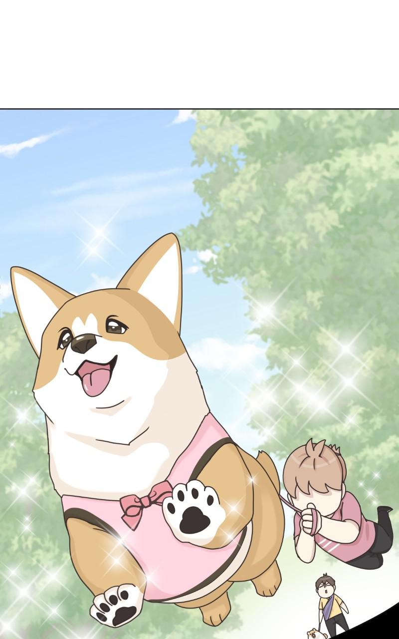 The Dog Diaries Chap 95 - Next Chap 96