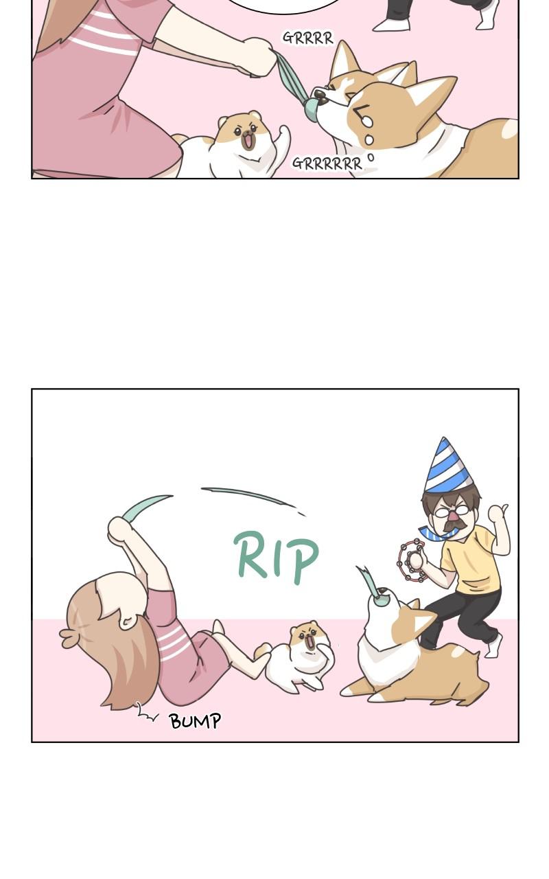 The Dog Diaries Chap 95 - Next Chap 96