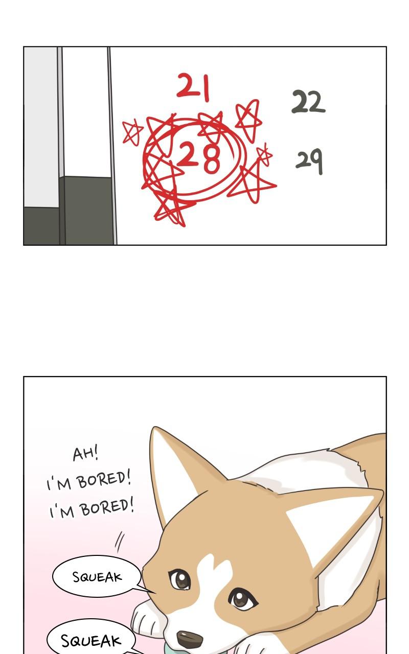 The Dog Diaries Chap 95 - Next Chap 96