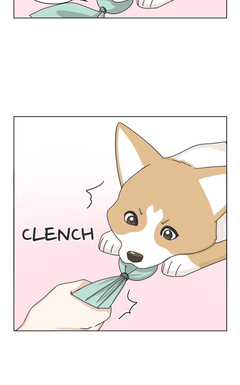 The Dog Diaries Chap 95 - Next Chap 96