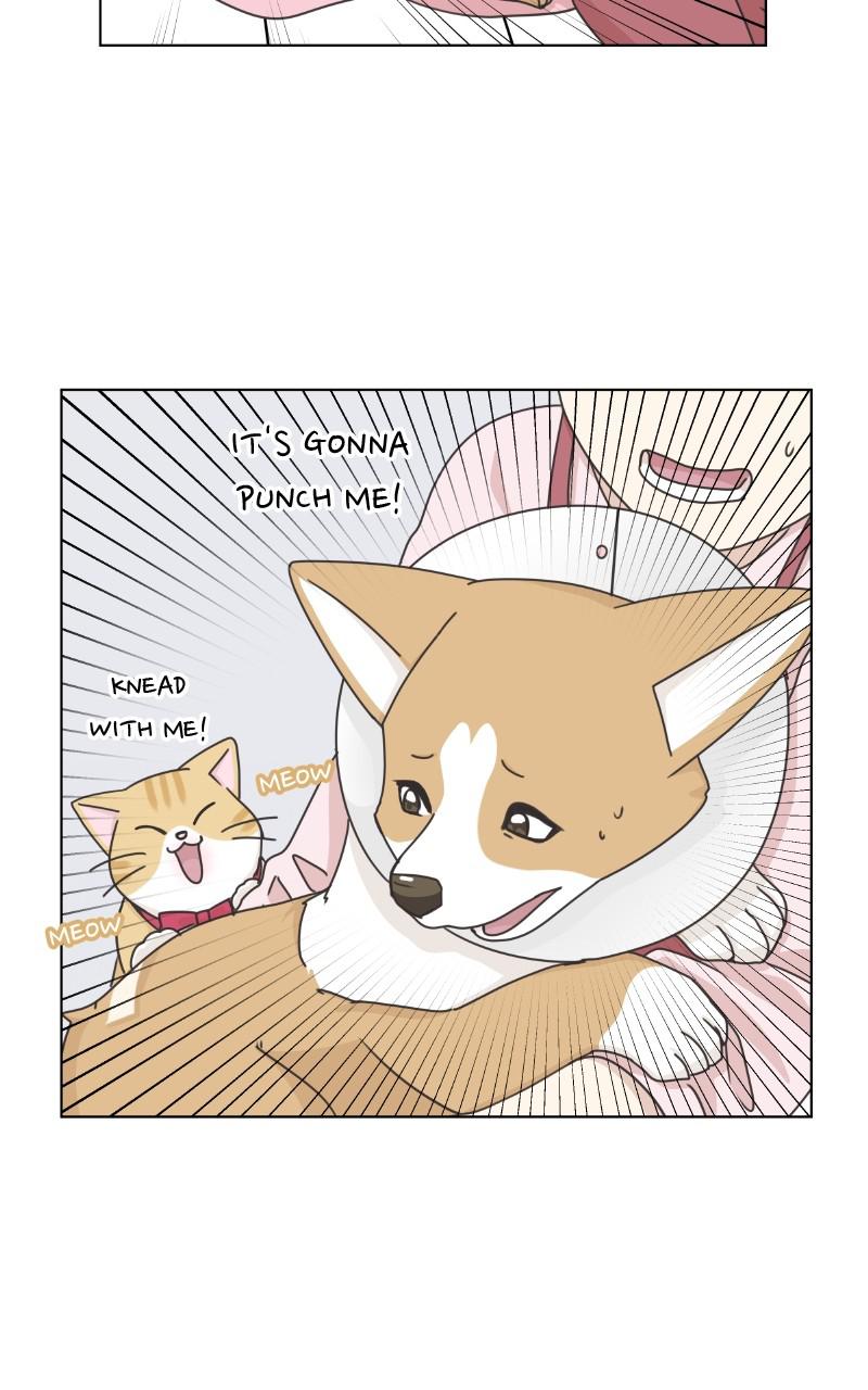 The Dog Diaries Chap 92 - Next Chap 93