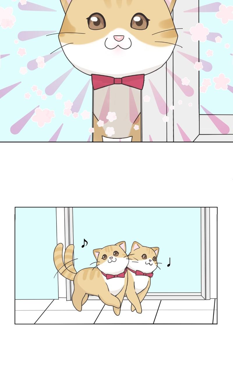 The Dog Diaries Chap 92 - Next Chap 93