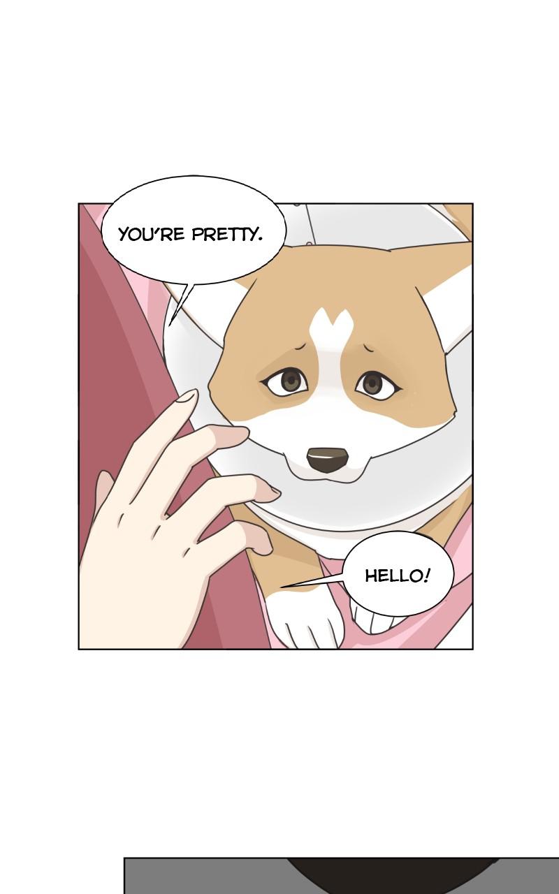 The Dog Diaries Chap 92 - Next Chap 93