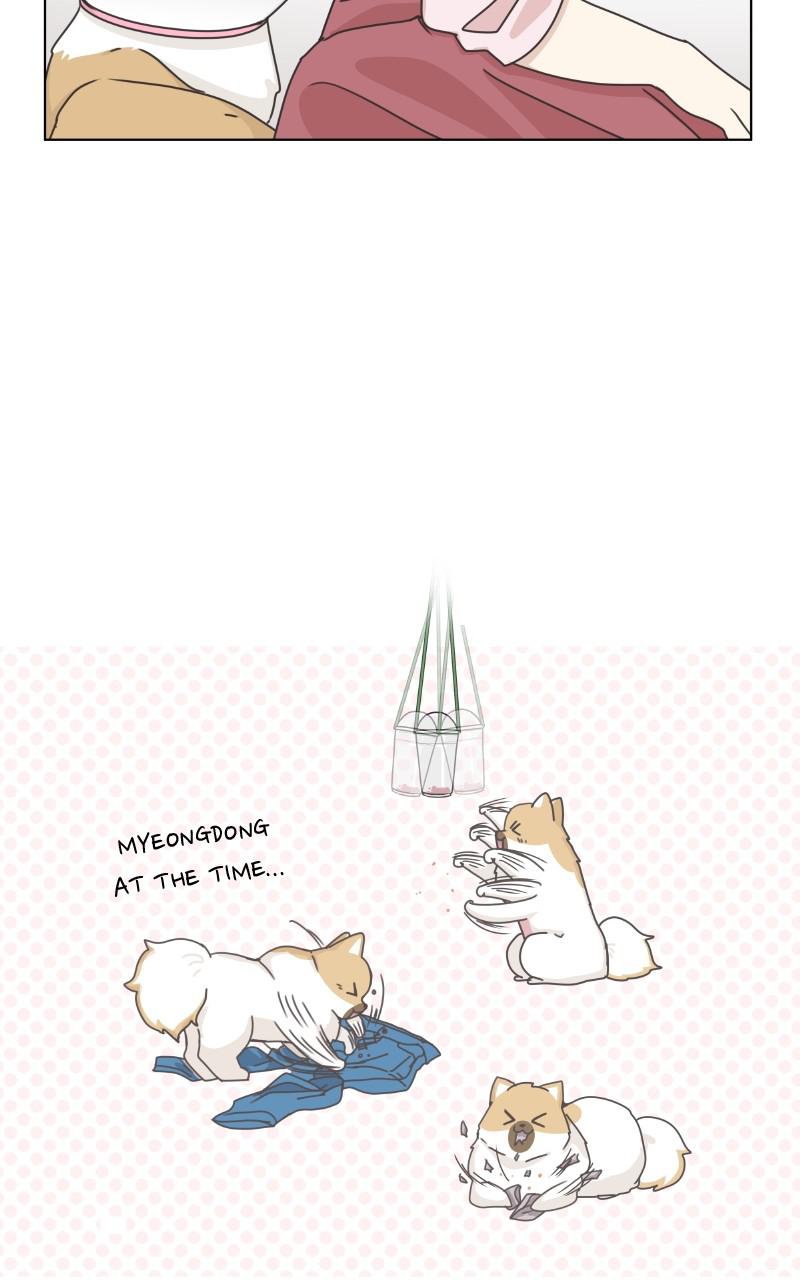 The Dog Diaries Chap 92 - Next Chap 93
