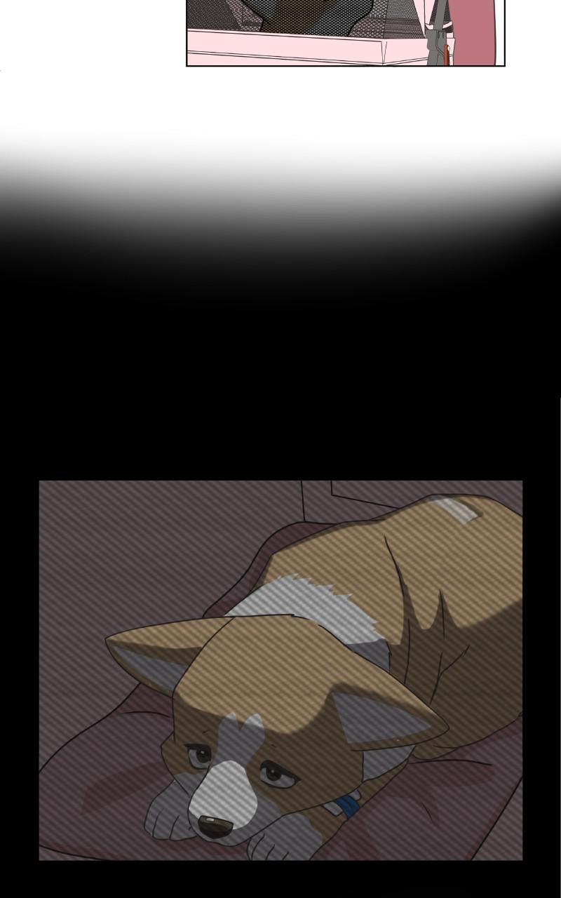 The Dog Diaries Chap 92 - Next Chap 93