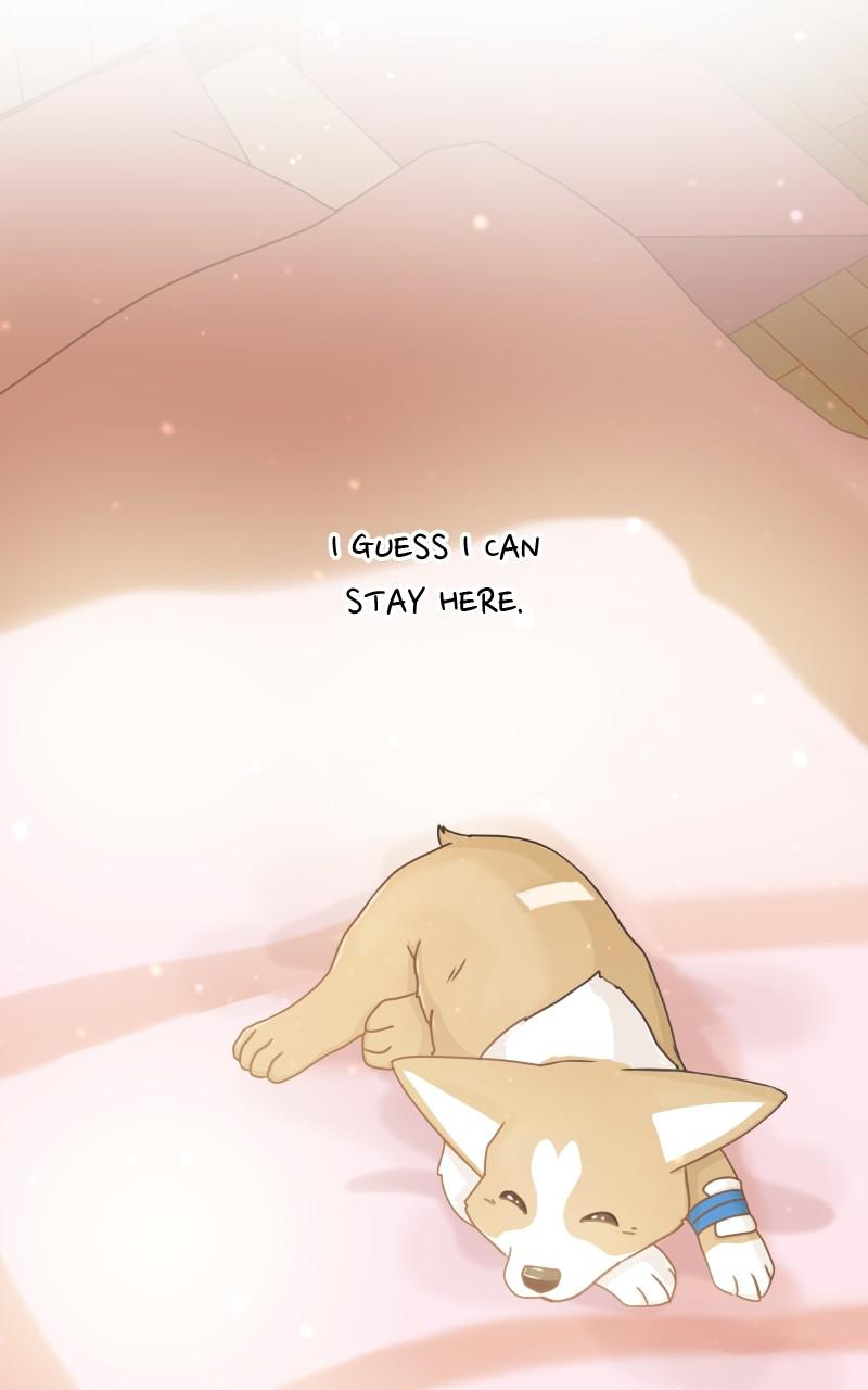 The Dog Diaries Chap 92 - Next Chap 93