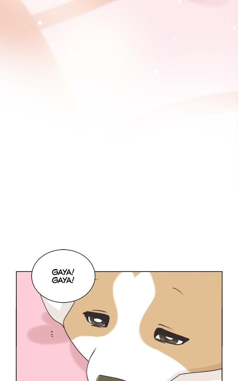 The Dog Diaries Chap 92 - Next Chap 93
