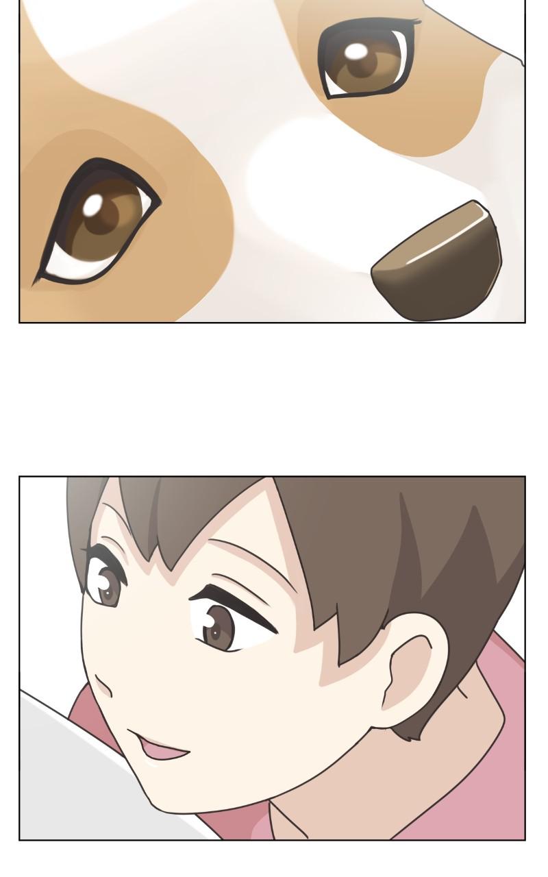 The Dog Diaries Chap 92 - Next Chap 93
