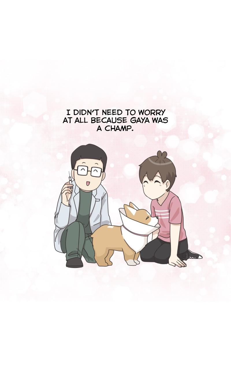 The Dog Diaries Chap 92 - Next Chap 93