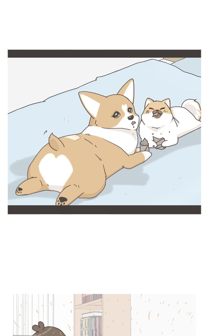 The Dog Diaries Chap 92 - Next Chap 93