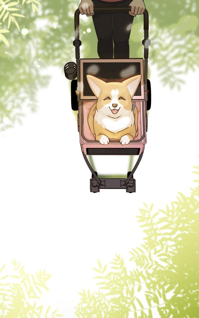 The Dog Diaries Chap 92 - Next Chap 93