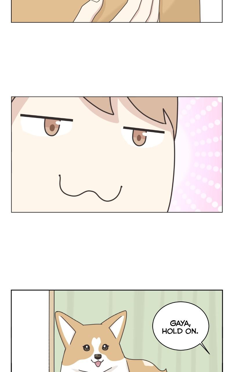The Dog Diaries Chap 93 - Next Chap 94