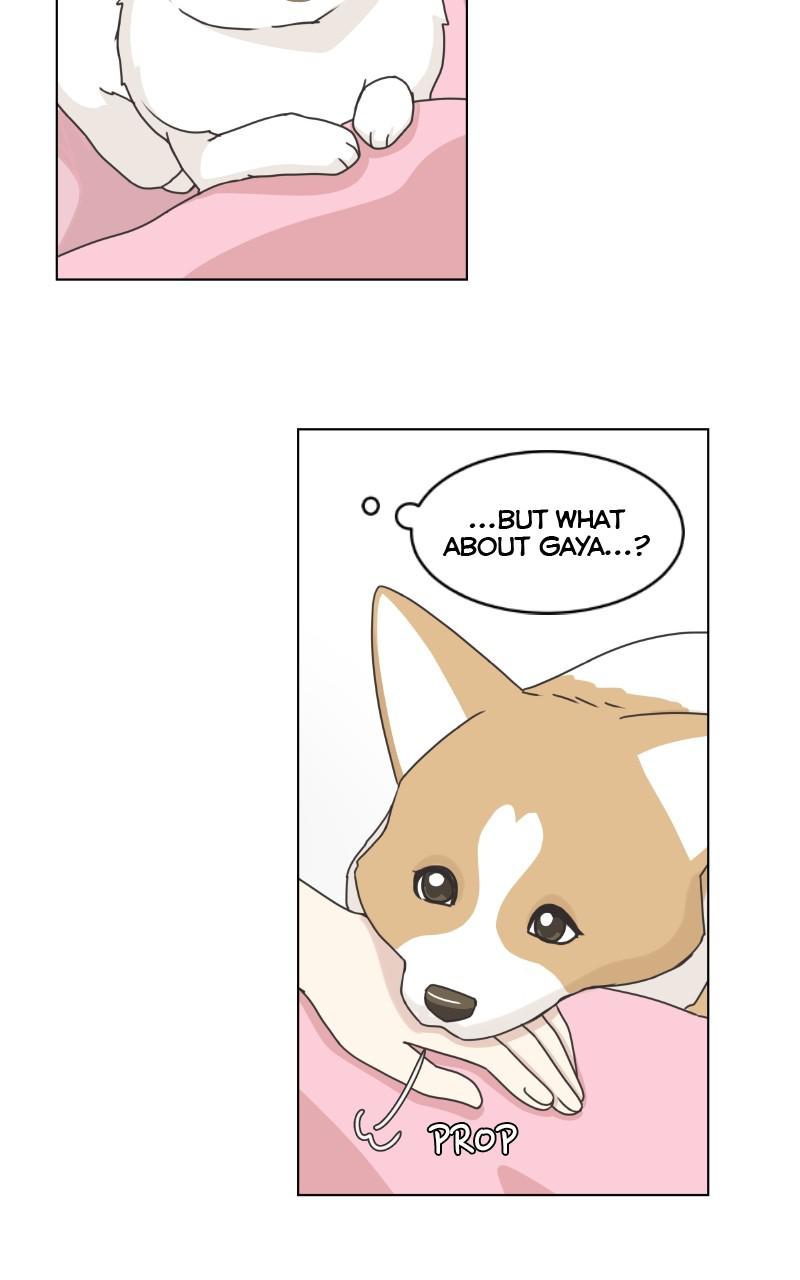 The Dog Diaries Chap 93 - Next Chap 94