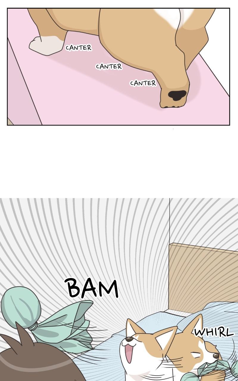 The Dog Diaries Chap 93 - Next Chap 94