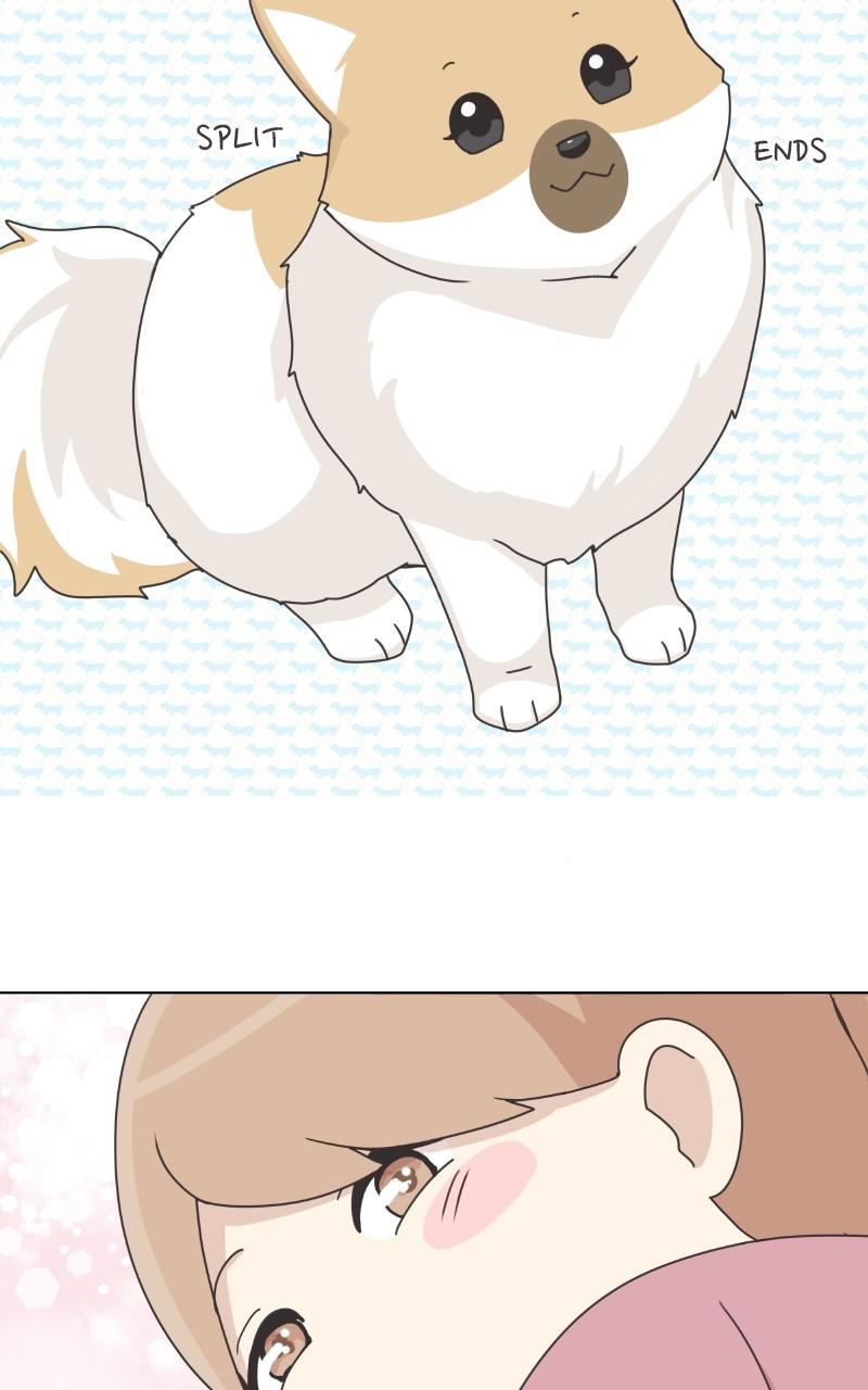 The Dog Diaries Chap 93 - Next Chap 94