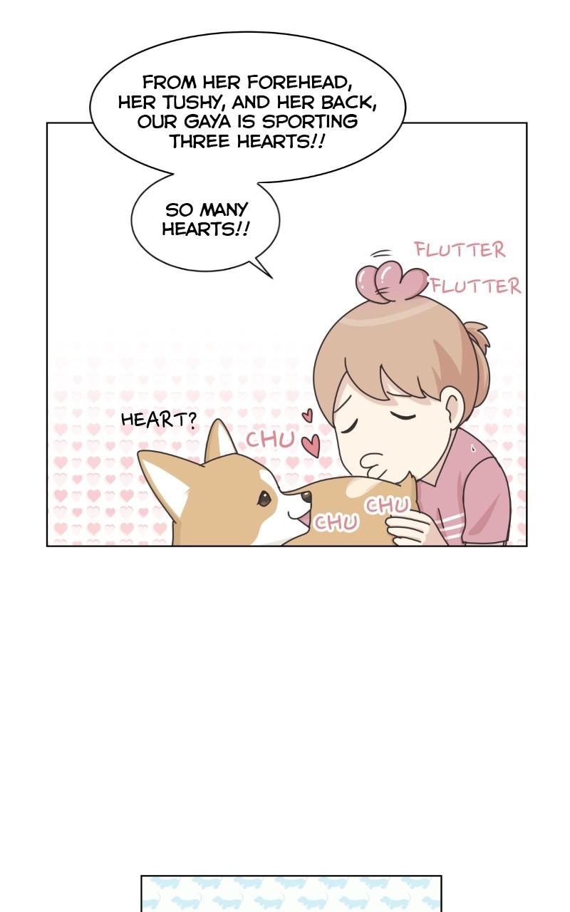 The Dog Diaries Chap 93 - Next Chap 94