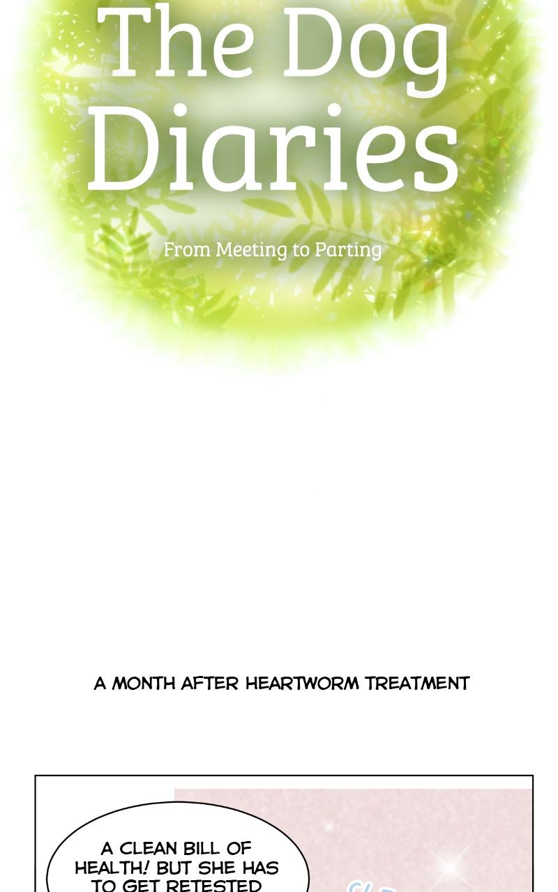 The Dog Diaries Chap 93 - Next Chap 94