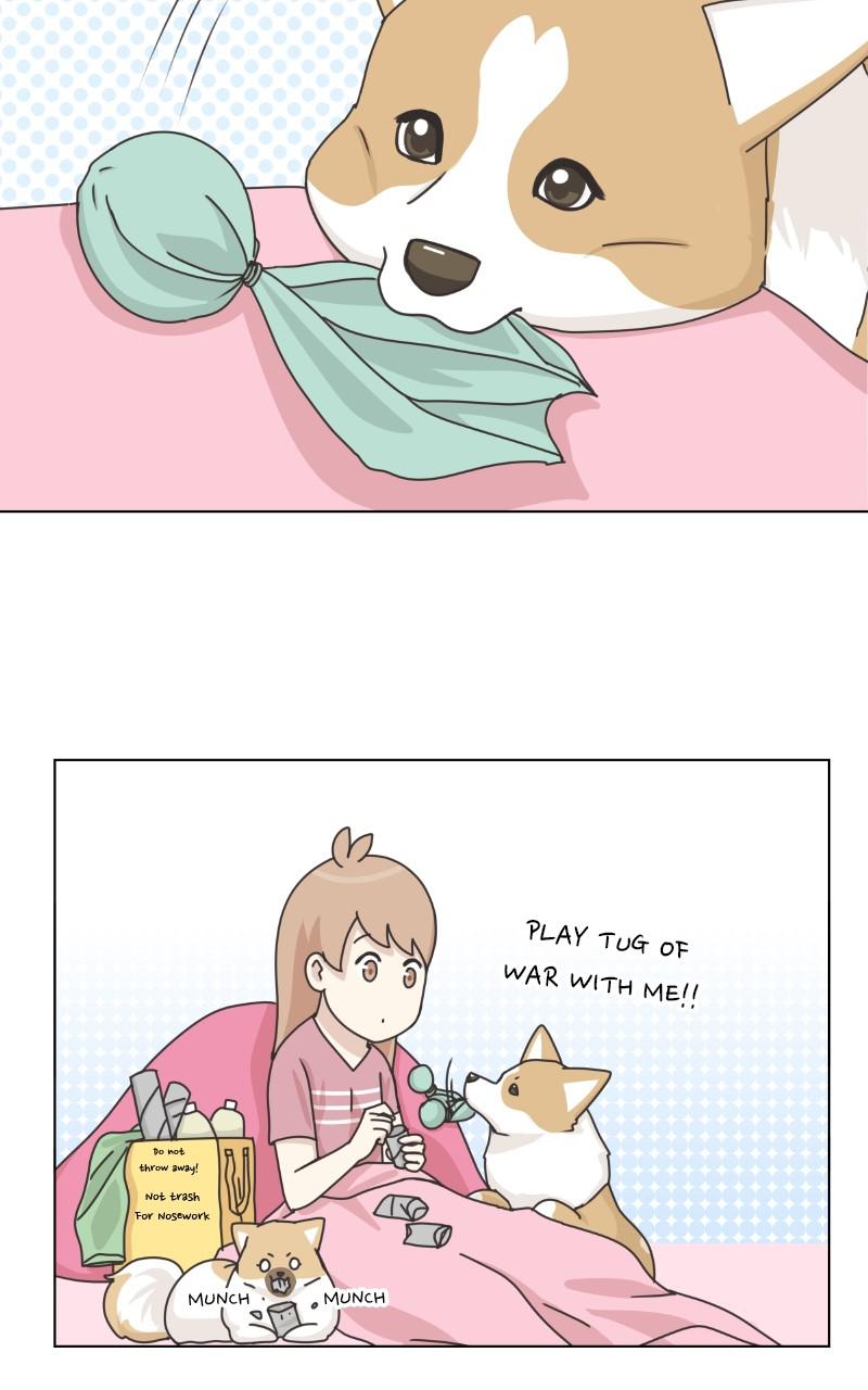 The Dog Diaries Chap 93 - Next Chap 94
