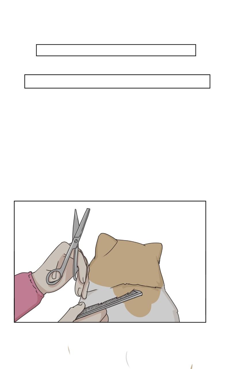 The Dog Diaries Chap 94 - Next Chap 95