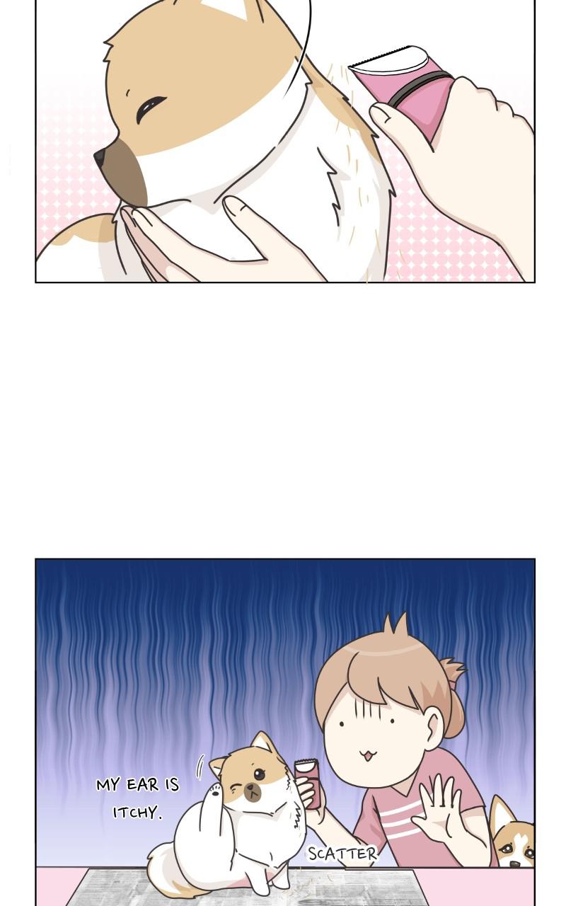 The Dog Diaries Chap 94 - Next Chap 95