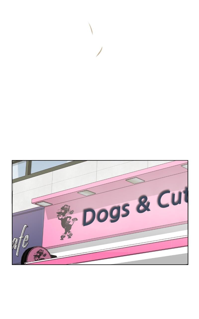 The Dog Diaries Chap 94 - Next Chap 95