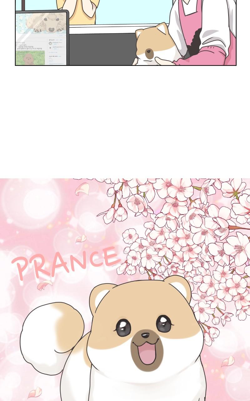 The Dog Diaries Chap 94 - Next Chap 95