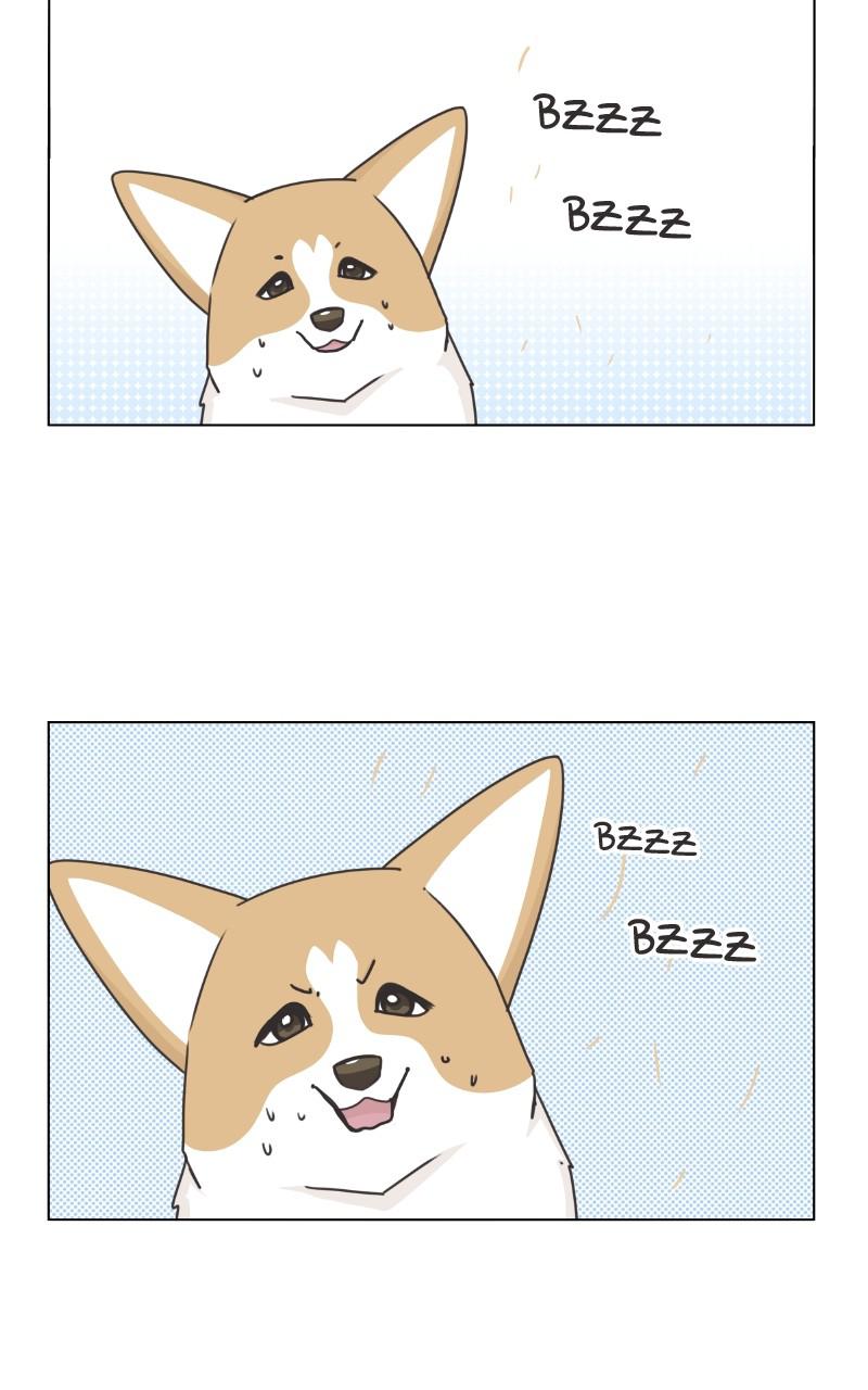 The Dog Diaries Chap 94 - Next Chap 95