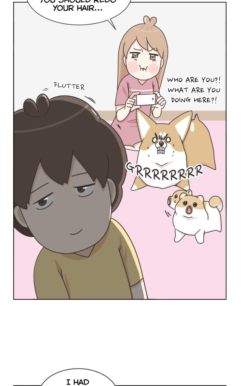 The Dog Diaries Chap 94 - Next Chap 95