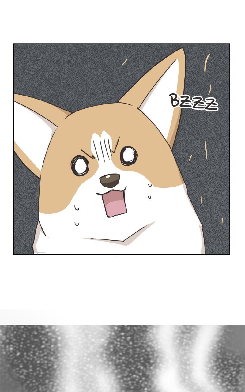 The Dog Diaries Chap 94 - Next Chap 95