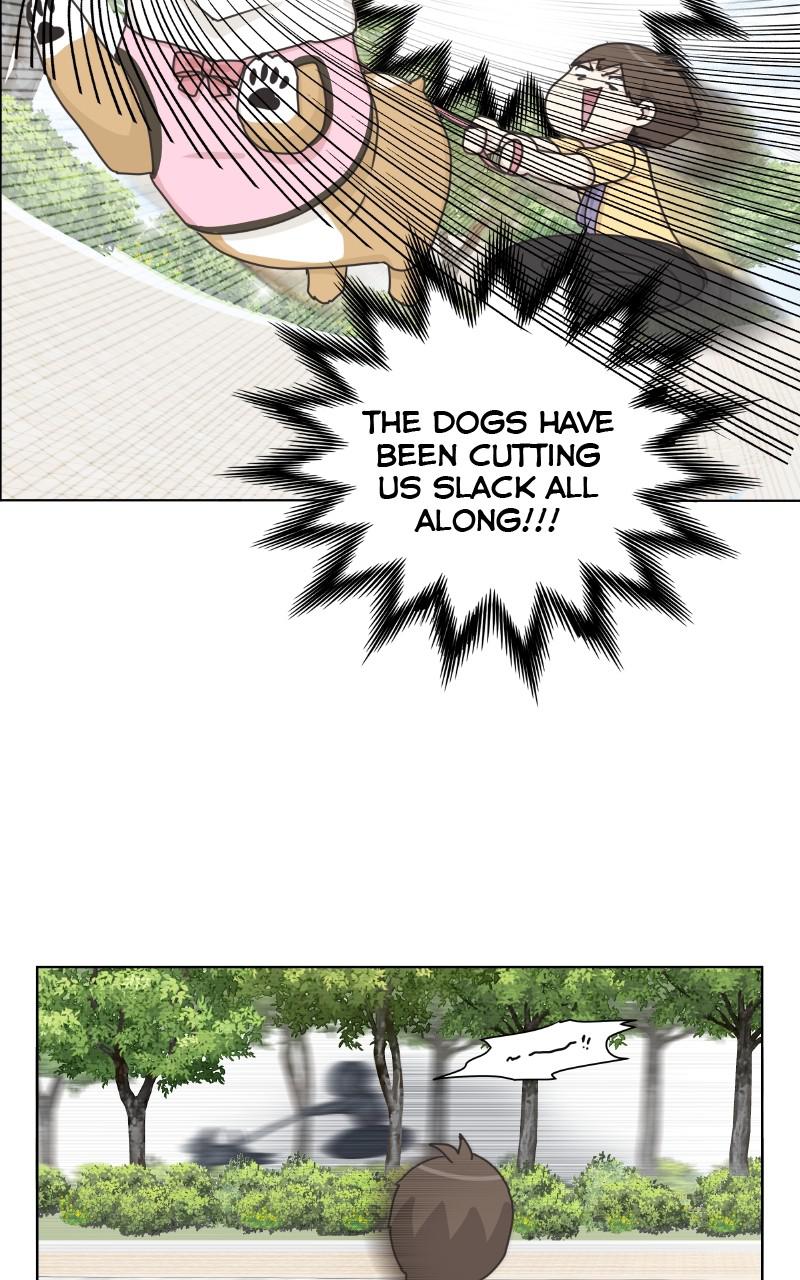 The Dog Diaries Chap 96 - Next Chap 97