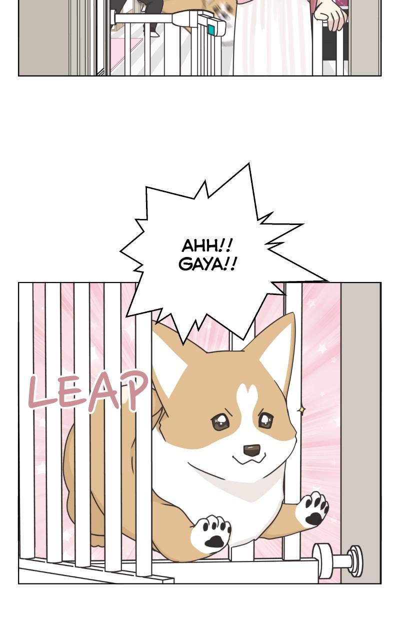 The Dog Diaries Chap 96 - Next Chap 97