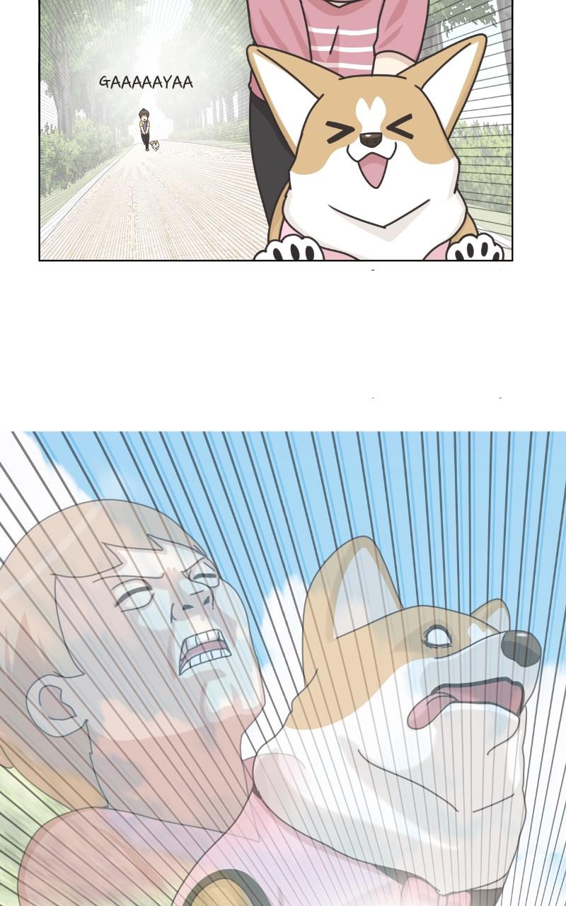 The Dog Diaries Chap 96 - Next Chap 97