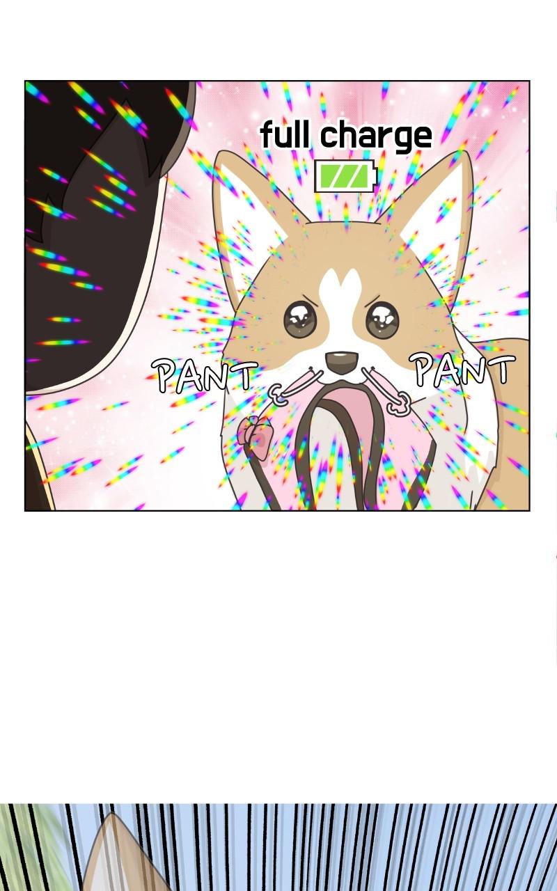 The Dog Diaries Chap 96 - Next Chap 97
