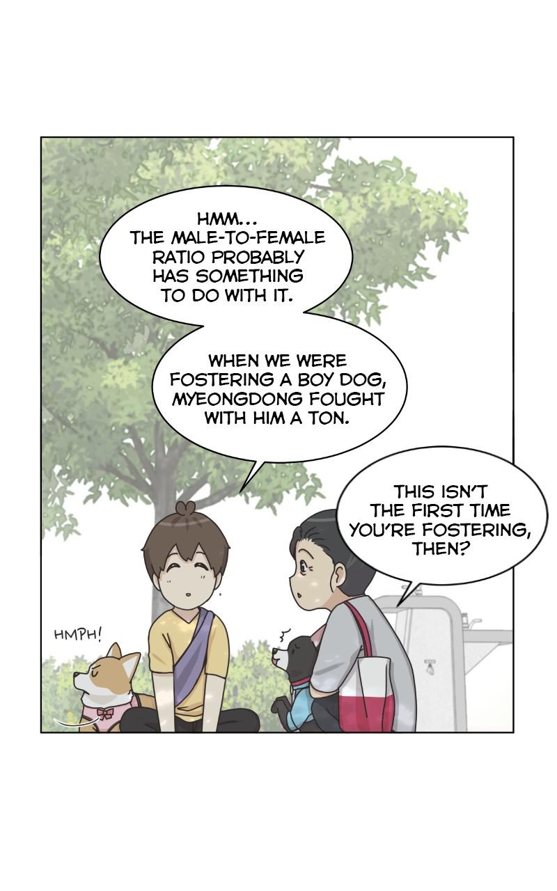The Dog Diaries Chap 96 - Next Chap 97