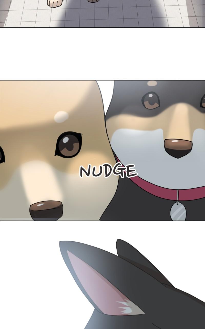 The Dog Diaries Chap 96 - Next Chap 97