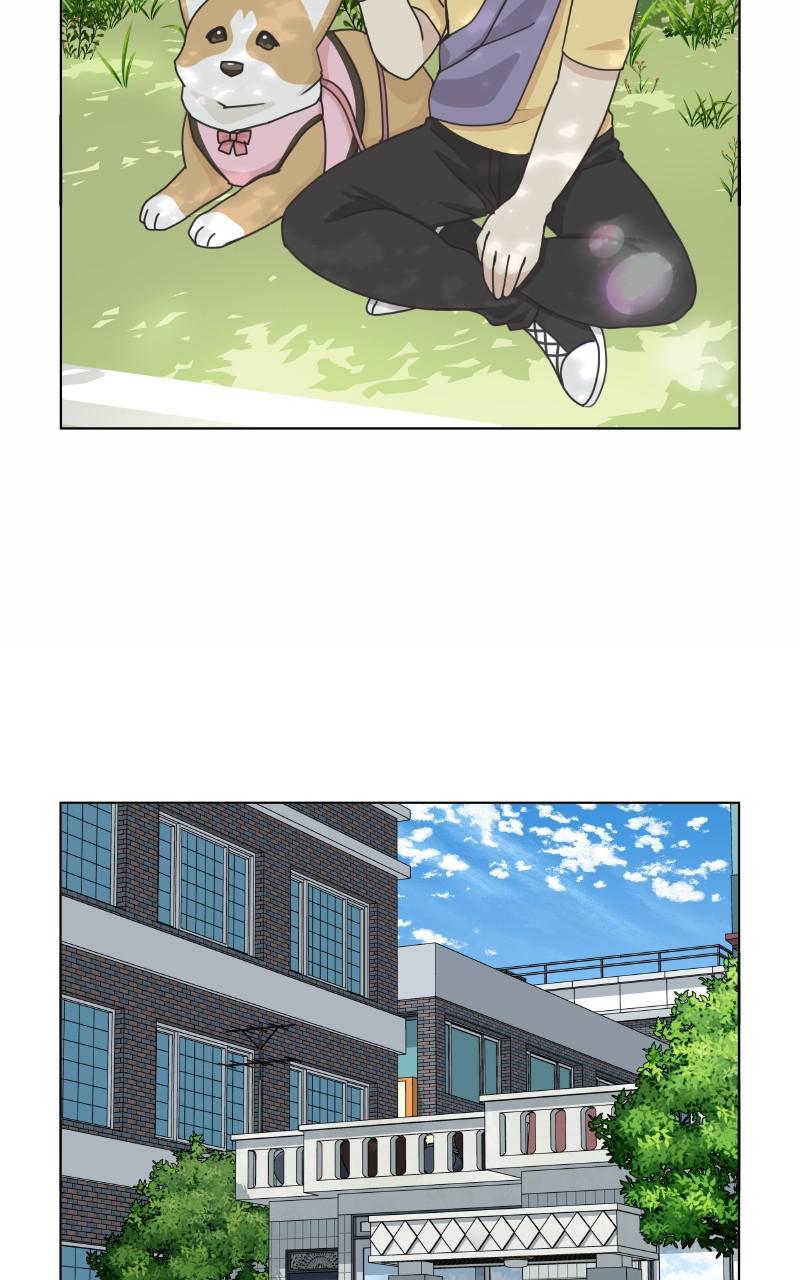 The Dog Diaries Chap 96 - Next Chap 97