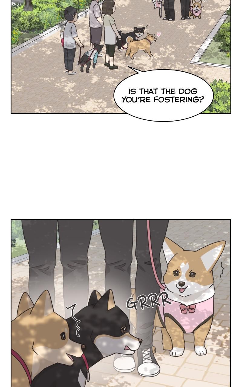 The Dog Diaries Chap 96 - Next Chap 97
