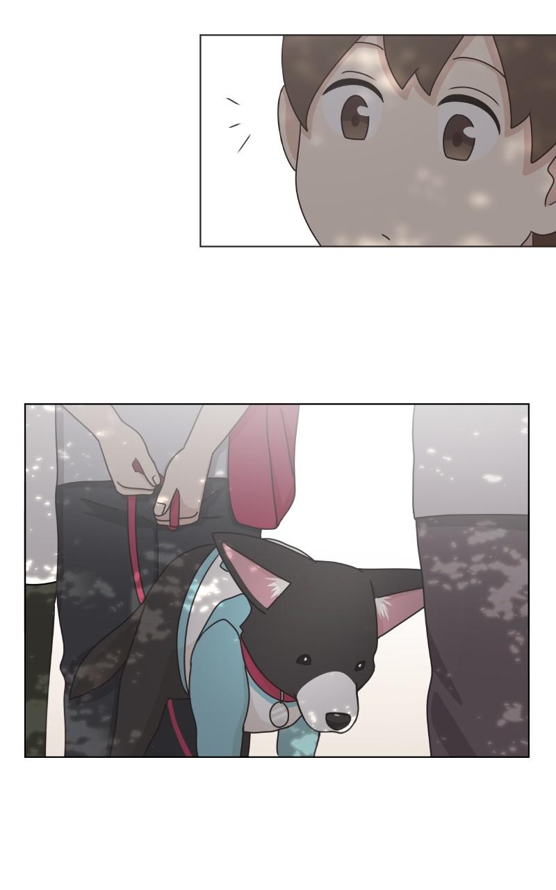 The Dog Diaries Chap 96 - Next Chap 97
