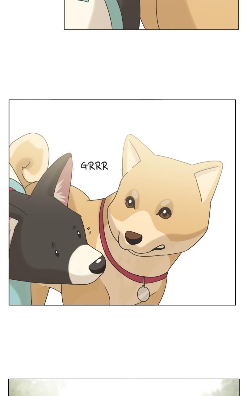 The Dog Diaries Chap 97 - Next Chap 98