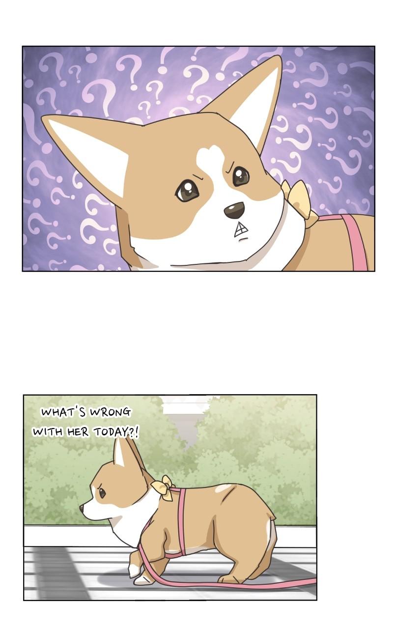The Dog Diaries Chap 97 - Next Chap 98