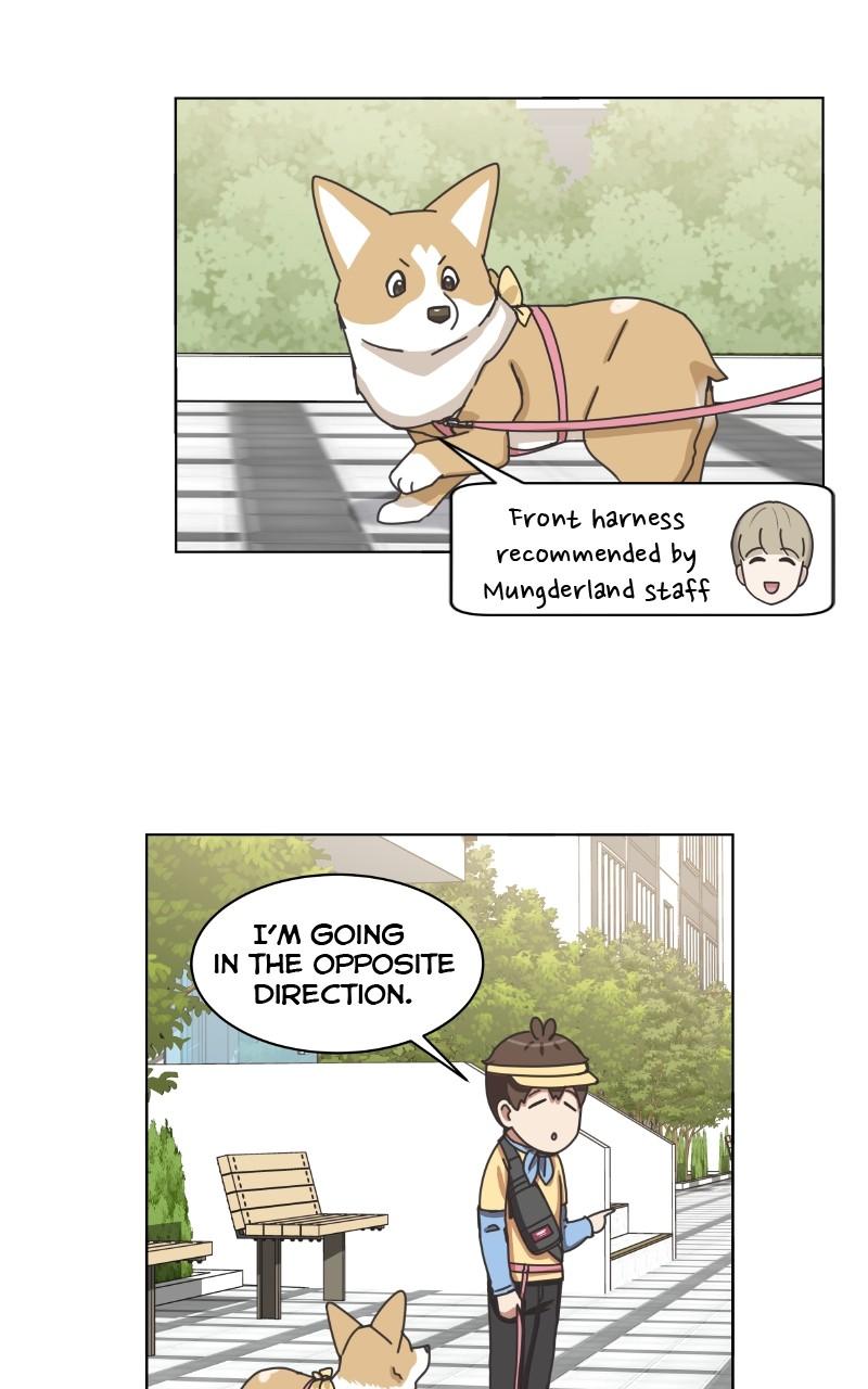 The Dog Diaries Chap 97 - Next Chap 98