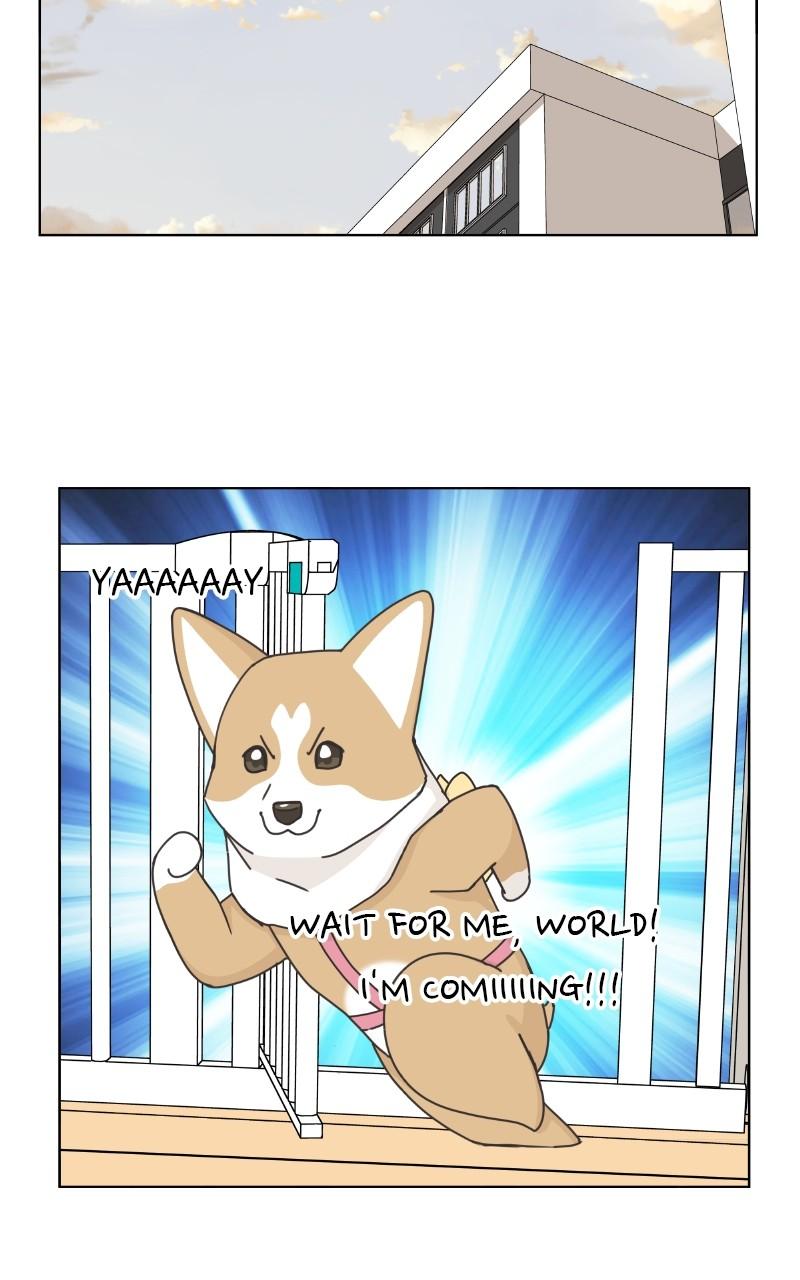 The Dog Diaries Chap 97 - Next Chap 98