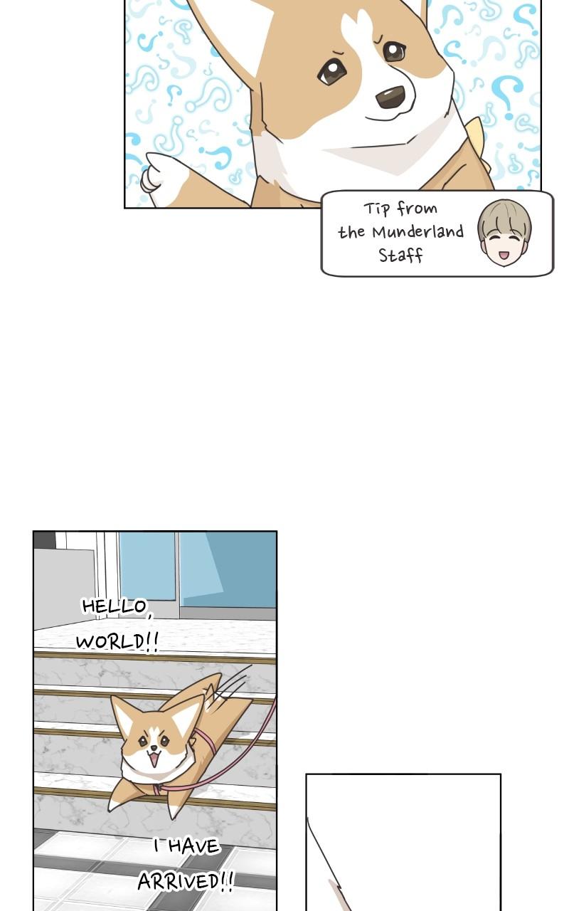 The Dog Diaries Chap 97 - Next Chap 98