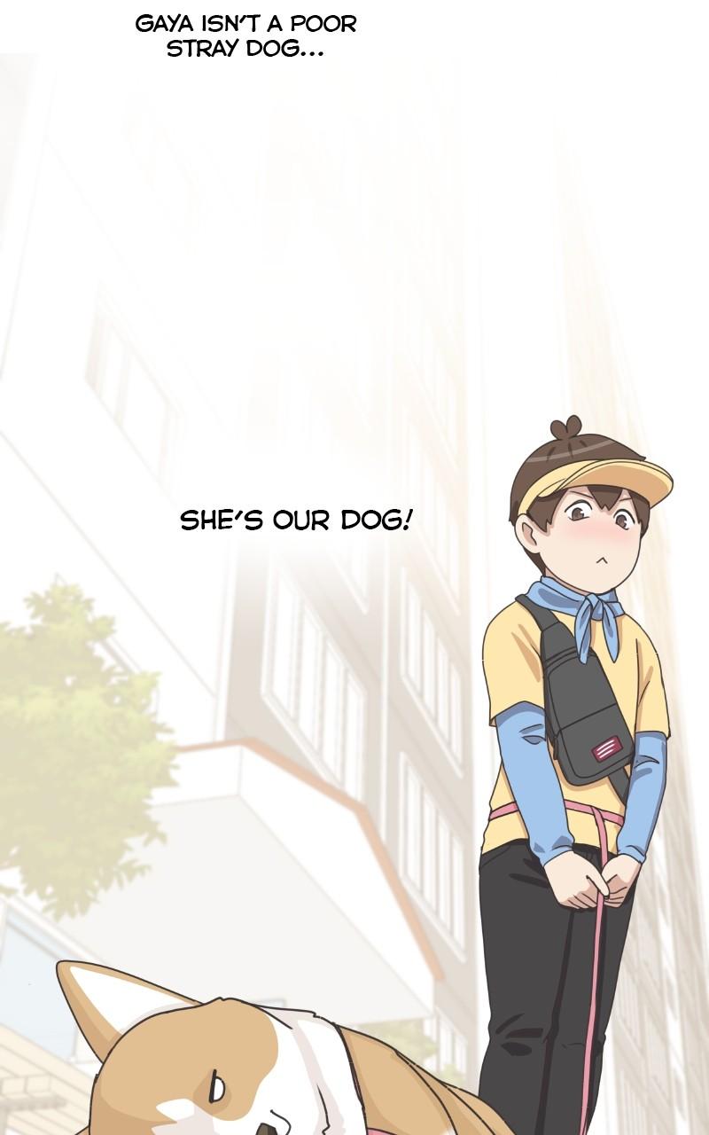 The Dog Diaries Chap 97 - Next Chap 98