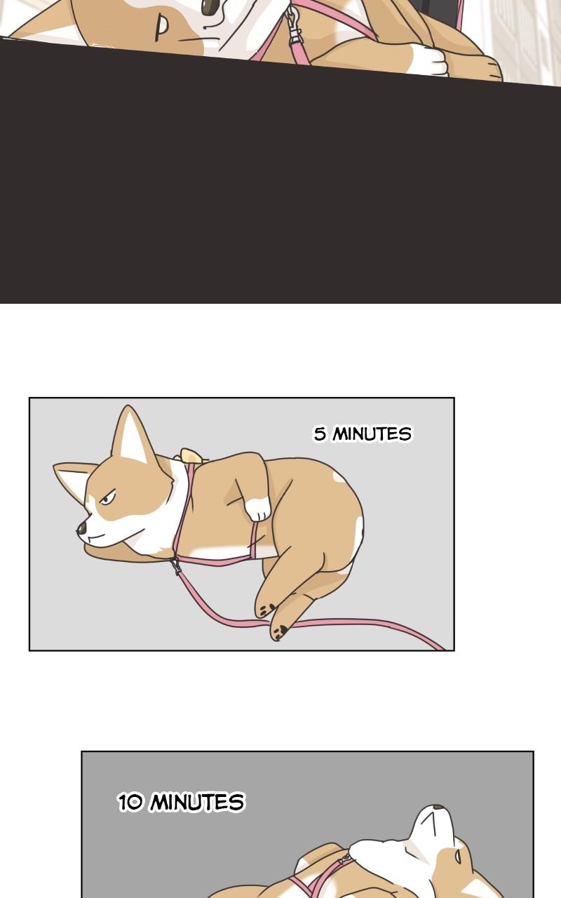 The Dog Diaries Chap 97 - Next Chap 98