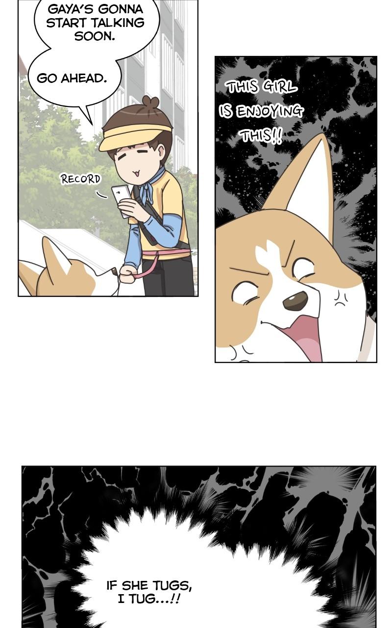 The Dog Diaries Chap 97 - Next Chap 98